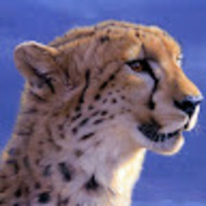 Meet your Posher, Mimi